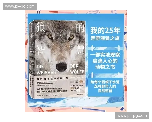 狼VS平庸：在这场无声的荒野博弈中，你是猎手还是猎物？